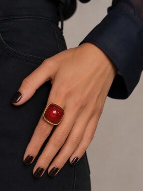 NWT Amrita Singh ruby color ring with elastic band